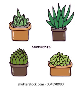 Vector illustration of plants. Succulents.