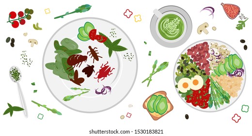 Vector Illustration Of Plate With Vegetables And Edible Bugs For Alternative Protein Meals 