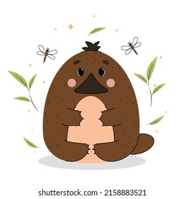 Vector illustration of a platypus, platypus in flat style with contours, cute platypus isolated on a white background, animals of Australia