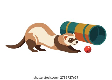 Vector illustration of playful ferret interacting with small red bell ball and cylinder toy representing pet activity theme.
