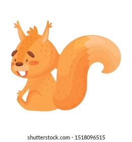 Vector Illustration Of A Playful Sitting Ginger Squirrel With Big Fluffy Tail.