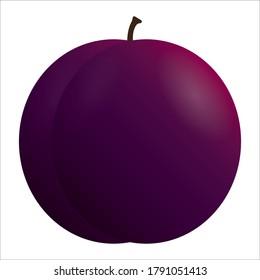 Vector illustration of a plum