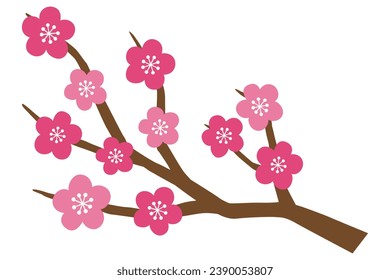 Vector illustration of plum blossom