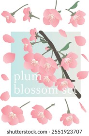 Vector illustration of plum blossom