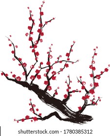 Vector illustration  of plum blossom tree. 