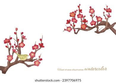 Vector illustration of plum blossoms and nightingale painted in watercolor