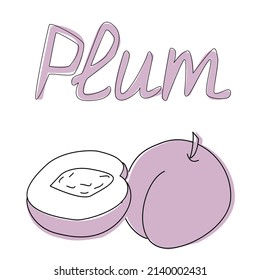 Vector illustration of plum in cartoon style, hand drawn plum flashcard - worksheet for children. Education game for kids. The word fruit plum.