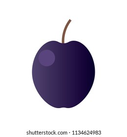 Vector illustration of a plum. Fruit icon. Colorful flat design element for web sites banners, infographics, printed materials.