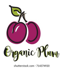 Vector illustration of a plum fruit with leaf. Plum vector icon. Organic plum freehand lettering. 
