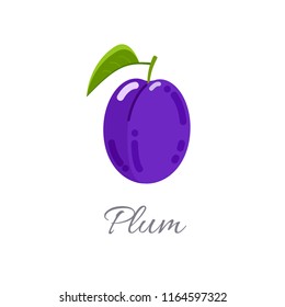 Vector illustration of plum icon in flat style with title, isolated on white background