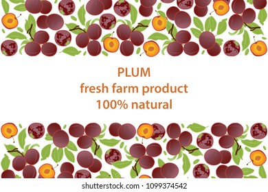 vector illustration of plum and leaf design background white and fruit and text fresh farm product 100% natural EPS10