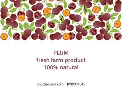 vector illustration of plum and leaf design background white and fruit and text fresh farm product 100% natural EPS10