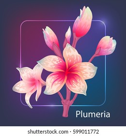 Vector illustration of plumeria in trendy background, exotic jungle tropical plant. Asian, hawaii, frangipani flower