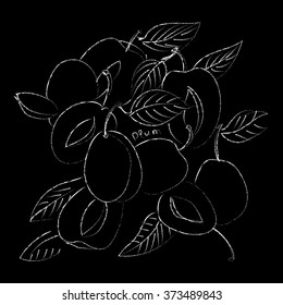 Vector illustration of plums. black and white graphics Linear, the effect of chalk on a blackboard. Hand drawing, good for textile printing and signboards.