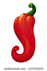 vector illustration of a pod of red hot pepper
