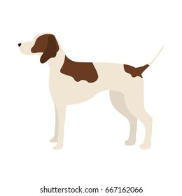 Vector illustration of pointer dog. Isolated on white background.