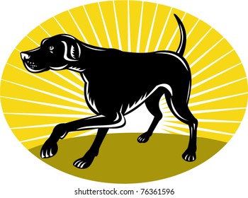 vector illustration of a Pointer dog with sunburst in background done in retro style set inside an oval.