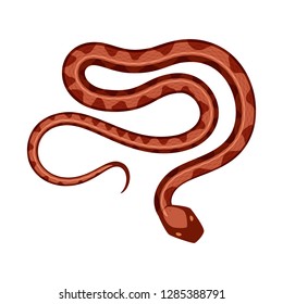 Vector illustration of poison and evil icon. Collection of poison and bite stock vector illustration.
