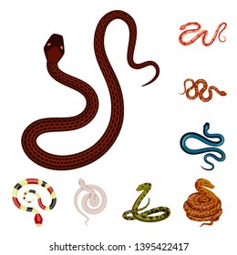 Vector illustration of poison and evil icon. Set of poison and bite stock symbol for web.