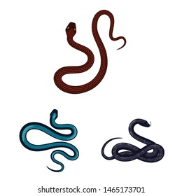 Vector illustration of poison and evil logo. Set of poison and bite stock symbol for web.
