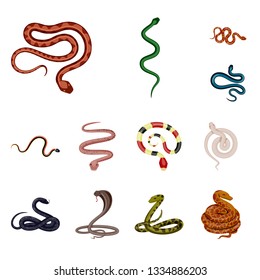 Vector illustration of poison and evil symbol. Set of poison and bite stock vector illustration.