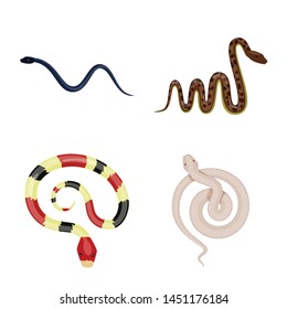 Vector illustration of poison and evil symbol. Collection of poison and bite vector icon for stock.
