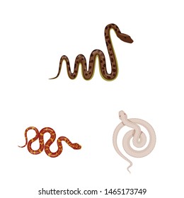 Vector illustration of poison and evil symbol. Set of poison and bite stock vector illustration.