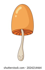 Vector Illustration of Poisoned Mushroom in a Flat Style. Vector Illustration