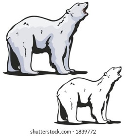 Vector illustration of a polar bear.