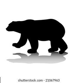 vector illustration polar bear