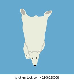 Vector illustration of a polar bear in a flat style on a blue background. The figure of a swimming animal