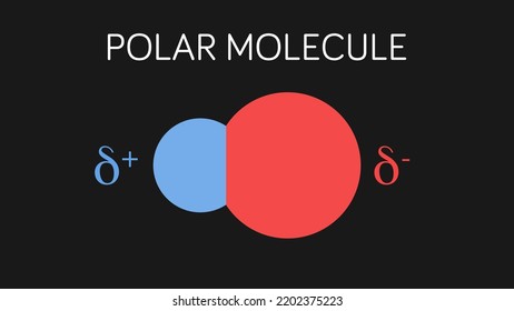 Vector illustration of polar molecule dipole.