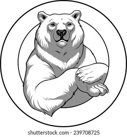 Vector illustration of a polar White bear