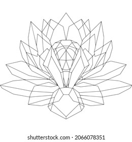 Vector illustration. Polygonal geometric daimond flower. Abstract linear isolated daimond flower. 