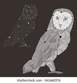 Vector illustration with polygonal owl in two colors. Low poly background with cute owl.