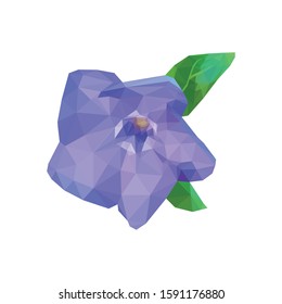 Vector illustration of polygonal periwinkle on white background