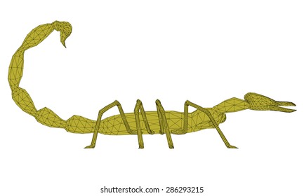 Vector illustration of polygonal scorpion. Isolated.