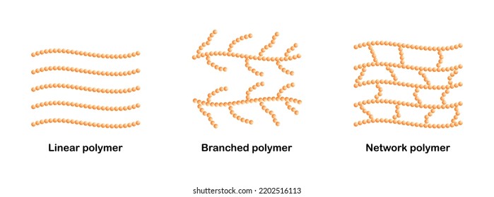 Vektorgrafik von Polymertypen, einschließlich lineares Polymer, Branched Polymer und Netzwerkpolymer auf weißem Hintergrund.