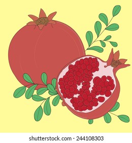 Vector illustration with pomegranate