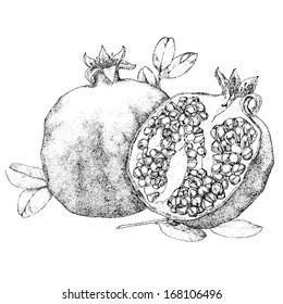 20+ Fantastic Ideas Pomegranate Drawing Easy | Barnes Family