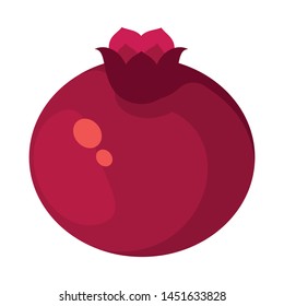 Vector illustration of pomegranate and fruit sign. Collection of pomegranate and botanical stock vector illustration.