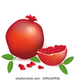 Vector illustration pomegranate full and sliced  fruit.Healthy full of  vitamins vegetarian fruit. Greeting card, logotype, background for template web and print. 