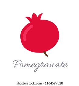 Vector illustration of pomegranate icon in flat style with title, isolated on white background