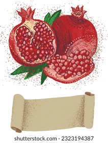 Vector illustration of a pomegranate isolated on a white background