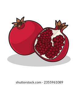 Ilustración vectorial de granada aislada en fondo blanco