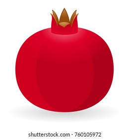 Vector illustration of pomegranate isolated on white background