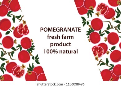 vector illustration of pomegranate and leaf design background white and fruit and text fresh farm product 100% natural EPS10