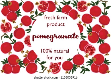 vector illustration of pomegranate and leaf design with lettering pomegranate background white and fruit and text fresh farm product 100% natural for you EPS10