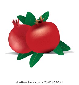 Vector illustration of pomegranate with leaves