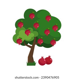 Vector illustration of a pomegranate tree in flat style on a white background. Pomegranate.